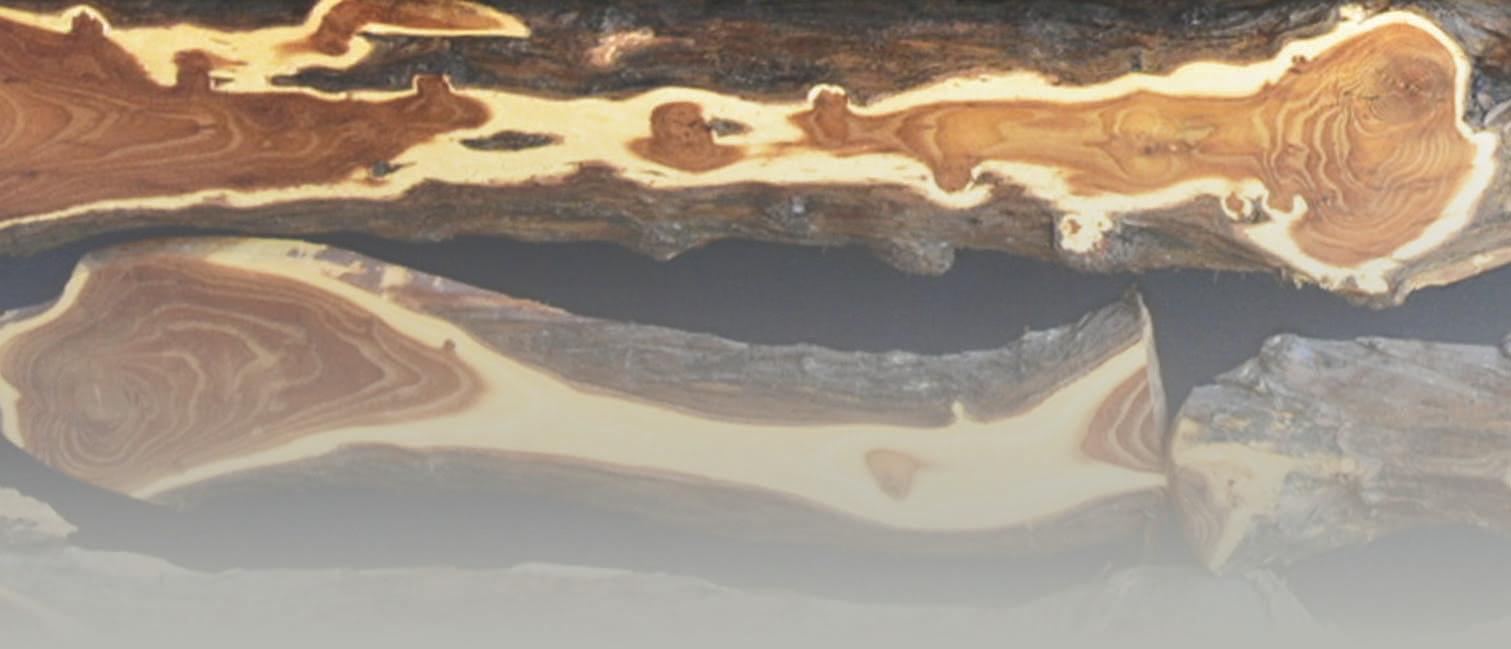 A close up of woodgrain